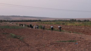 140920141014250567777