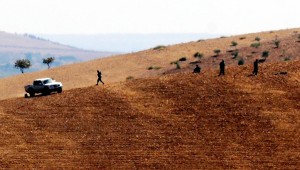 270920141207314192418_2