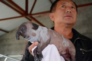 694911_13534_19102014132451_2