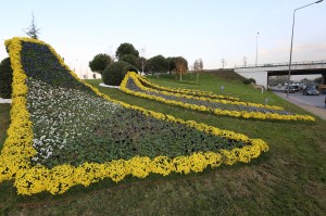 18317_IMG_0003_201411171125