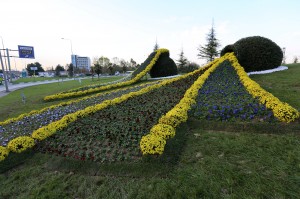 18317_IMG_0007_201411171125