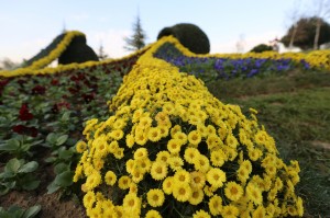 18317_IMG_0009_201411171125