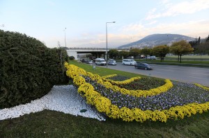 18317_IMG_0013_201411171125