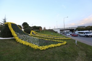 18317_IMG_0026_201411171125