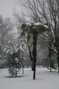 (ÖZEL HABER) BURSA’DA KARTPOSTALLIK KAR MANZARALARI