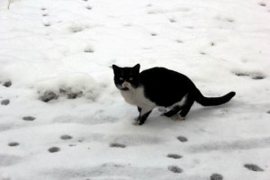 (ÖZEL HABER) BURSA'NIN TARİHİ MEKANLARINDAN KARTPOSTALLIK GÖRÜNTÜLER BURSA'DA KARTPOSTALLIK KAR MANZARALARI