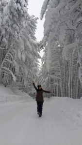 ULUDAĞ'DA KARLI ORMANLAR BÜYÜLÜYOR