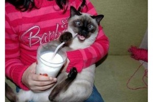 3395403-yurduminsani17