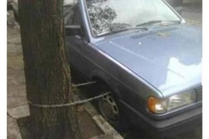 3395408-yurduminsani20