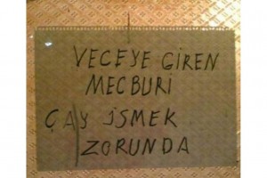 3395417-yurduminsani29