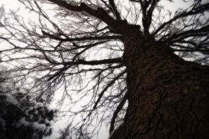 furkan kar fotolar (1)