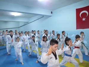 11016712_1593025290940045_136419188_n