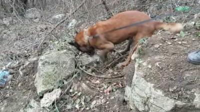 472780e9-abe7-42a7-8b6f-3ce01580bd27