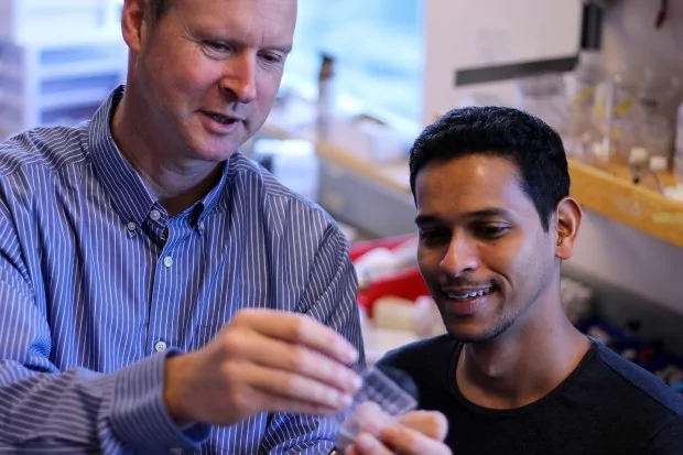 İşte katlanabilir telefonlar!