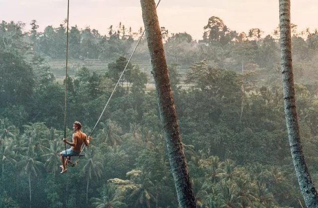 Hem bunu yapıyor hem para kazanıyorlar?