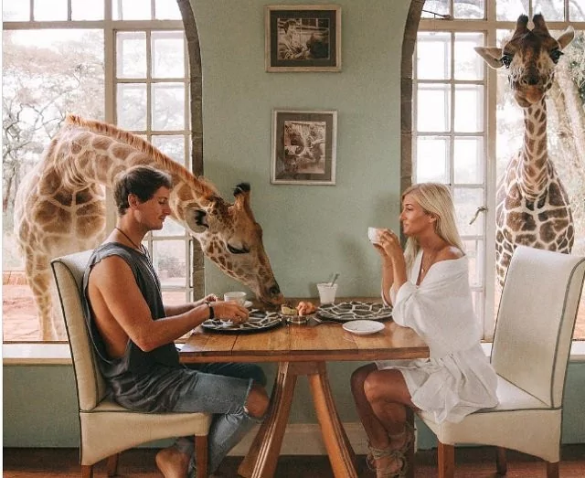 Hem bunu yapıyor hem para kazanıyorlar?