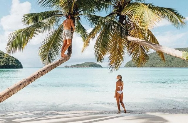 Hem bunu yapıyor hem para kazanıyorlar?