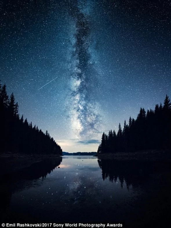 2017'nin ödüllü fotoğrafları