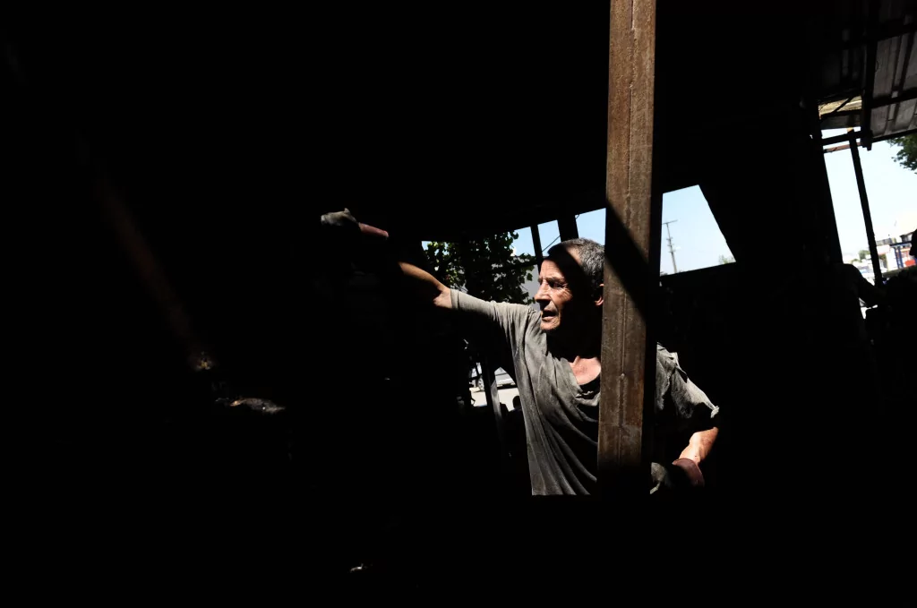 Onlar serinlemek için güneşe çıkıyor