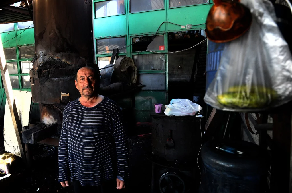 Onlar serinlemek için güneşe çıkıyor