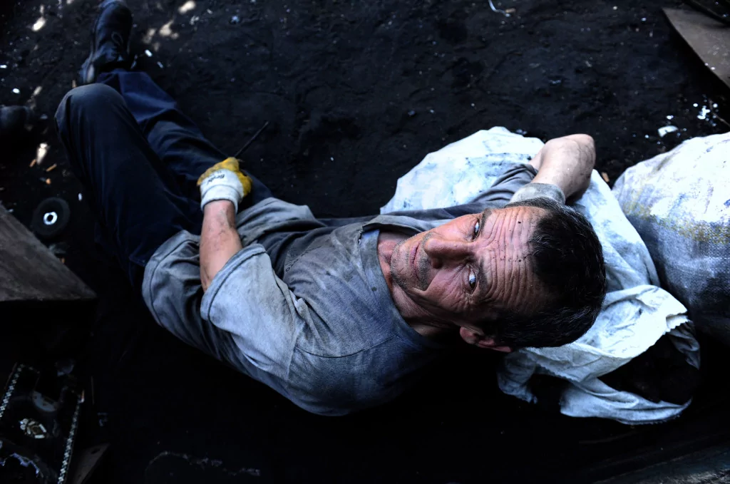 Onlar serinlemek için güneşe çıkıyor