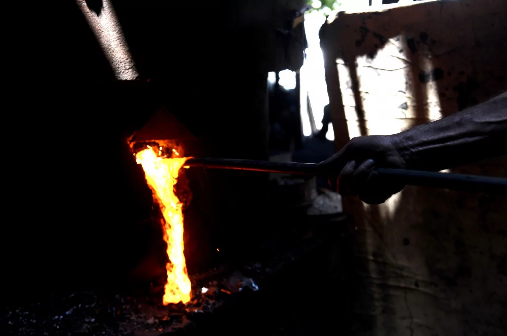 Onlar serinlemek için güneşe çıkıyor