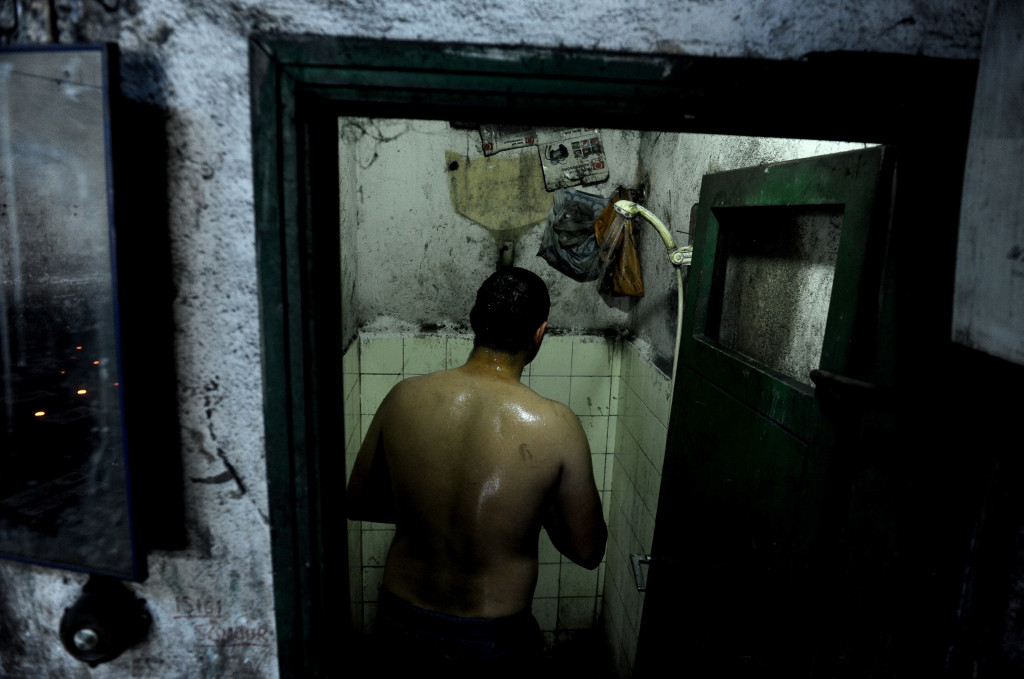 Onlar serinlemek için güneşe çıkıyor