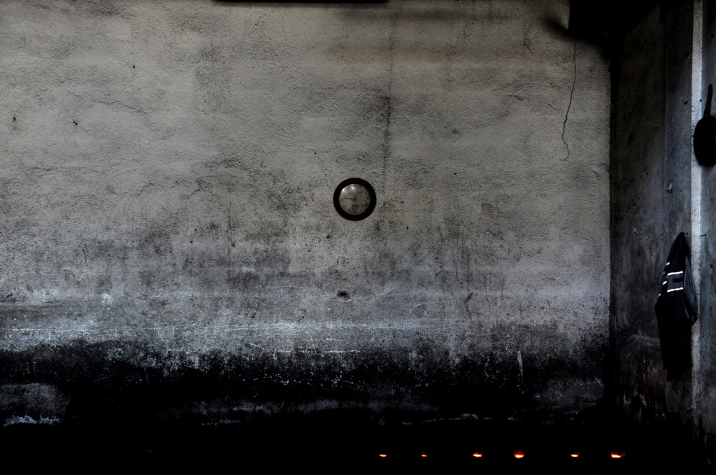 Onlar serinlemek için güneşe çıkıyor