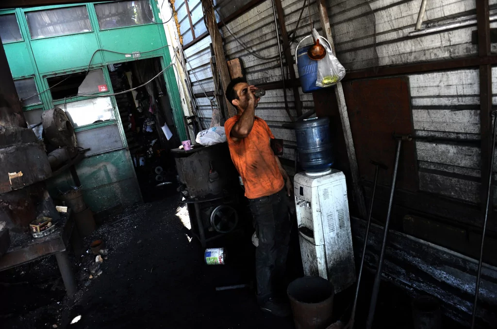 Onlar serinlemek için güneşe çıkıyor