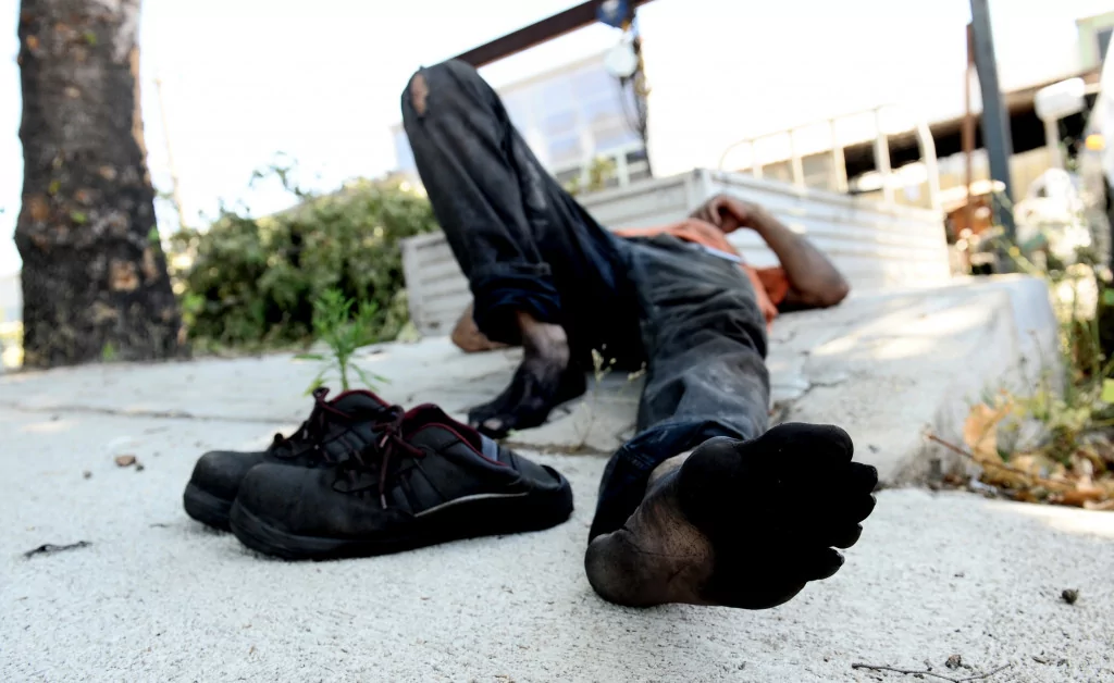 Onlar serinlemek için güneşe çıkıyor