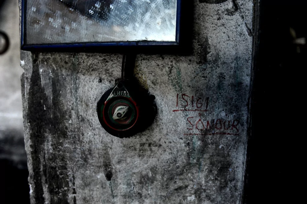 Onlar serinlemek için güneşe çıkıyor