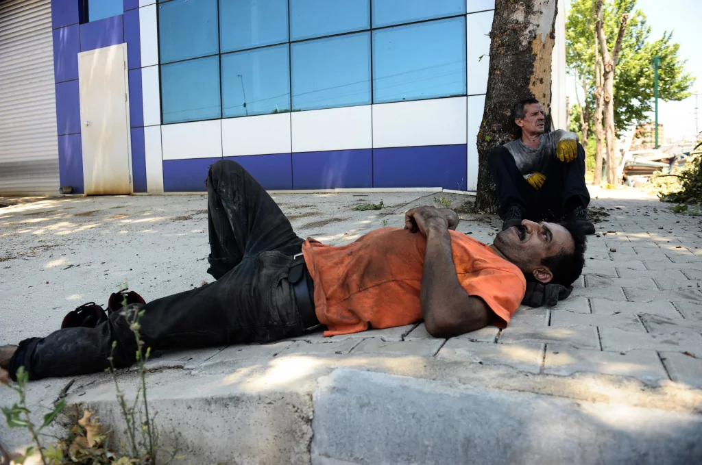 Onlar serinlemek için güneşe çıkıyor