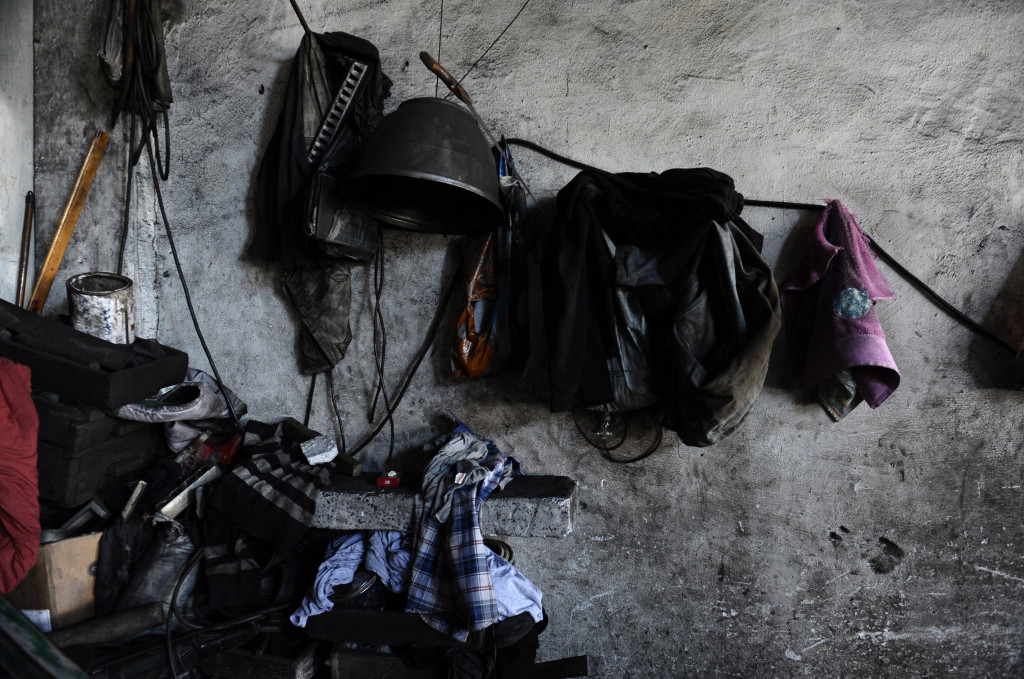 Onlar serinlemek için güneşe çıkıyor