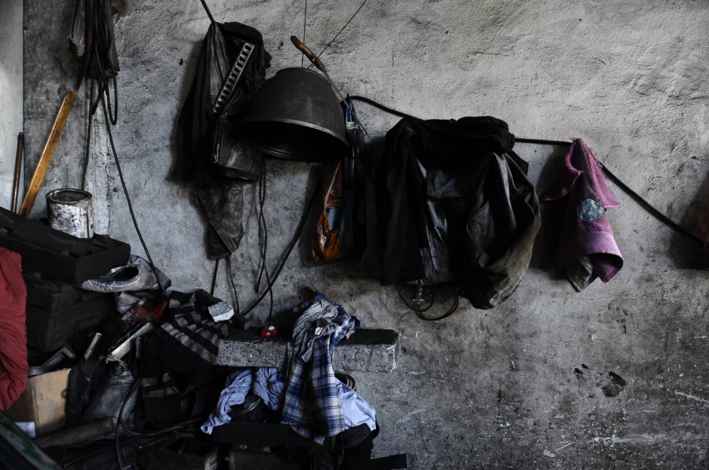 Onlar serinlemek için güneşe çıkıyor