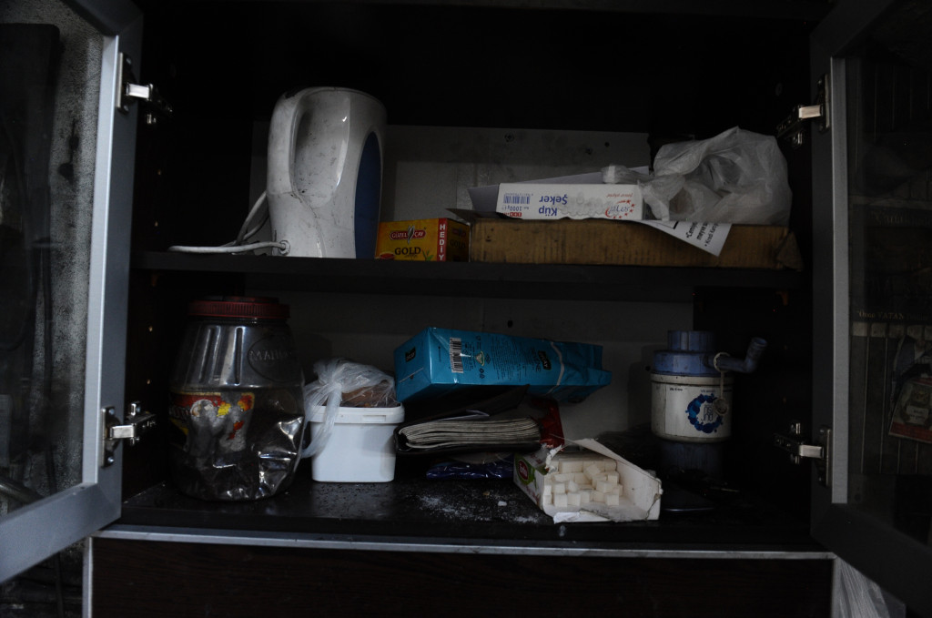 Onlar serinlemek için güneşe çıkıyor