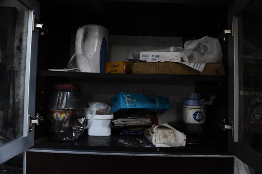 Onlar serinlemek için güneşe çıkıyor