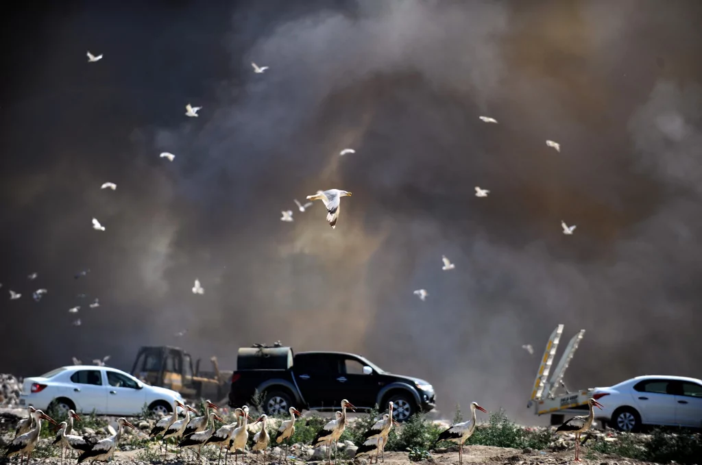 Bursa'nın dört bir tarafından gözüküyor