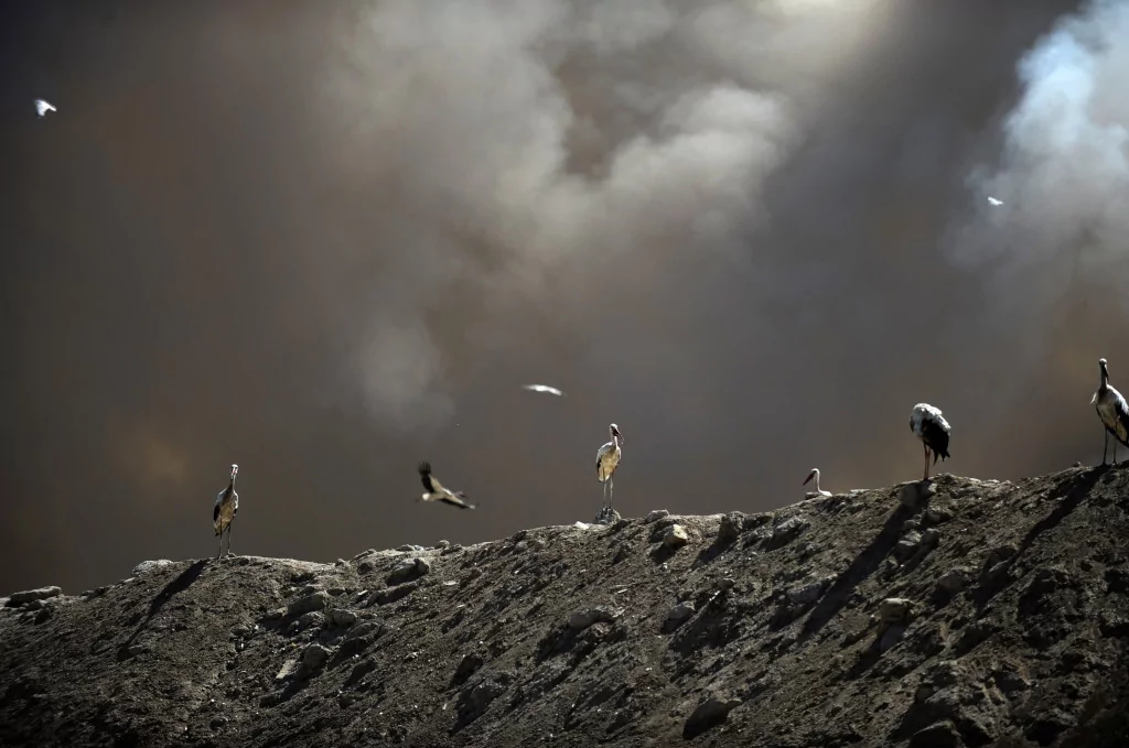 Bursa'nın dört bir tarafından gözüküyor