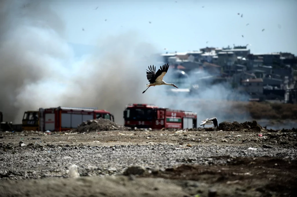 Bursa'nın dört bir tarafından gözüküyor