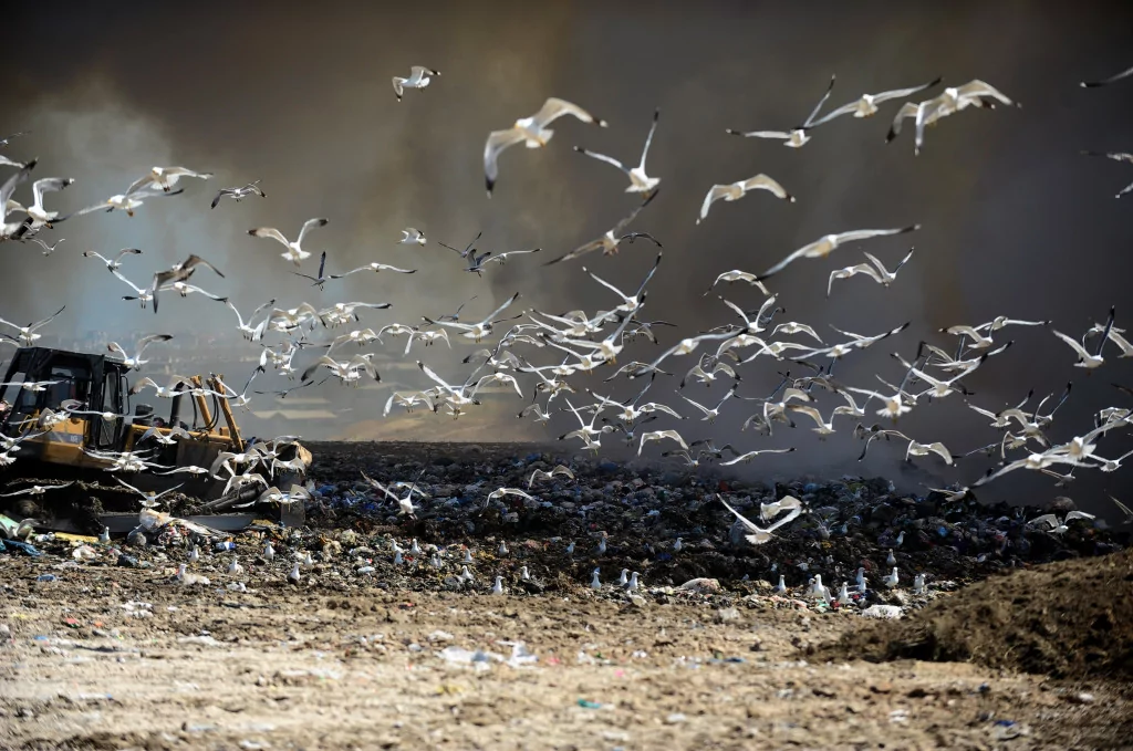 Bursa'nın dört bir tarafından gözüküyor