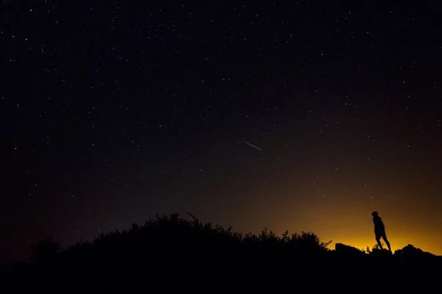 Perseid meteor yağmuru ne zaman izlenebilecek?