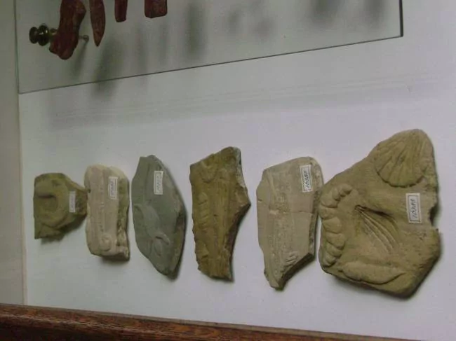 Bilim dünyasını karıştıran 10 sahte iddia