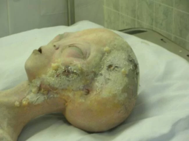 Bilim dünyasını karıştıran 10 sahte iddia