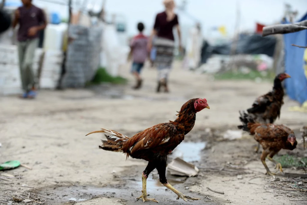 Dolu mevsimlik işçilerini de vurdu