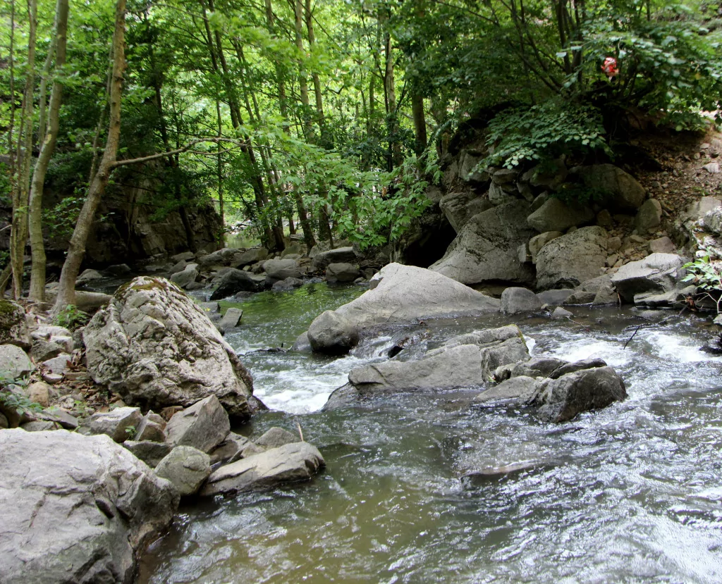 Bursa'da bu kanyona girenler büyüleniyor