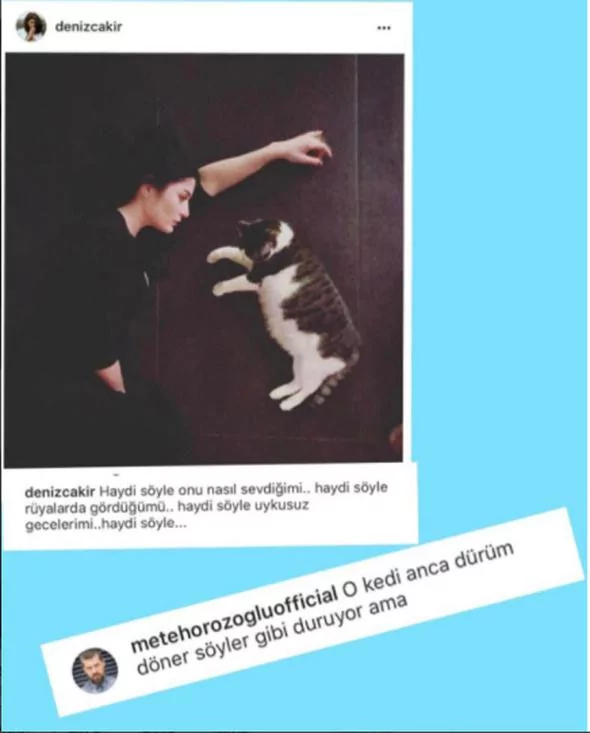 Ünlülerin takipçileriyle yaşadıkları ilginç diyaloglar