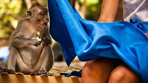 20 ilginç 'O an' fotoğrafı