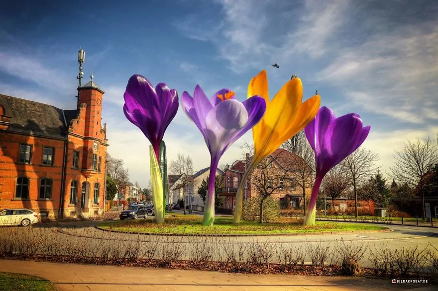 Şehri renklendiren 12 fotoğraf