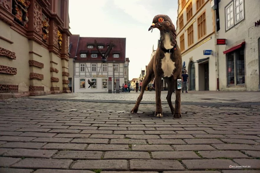 Şehri renklendiren 12 fotoğraf