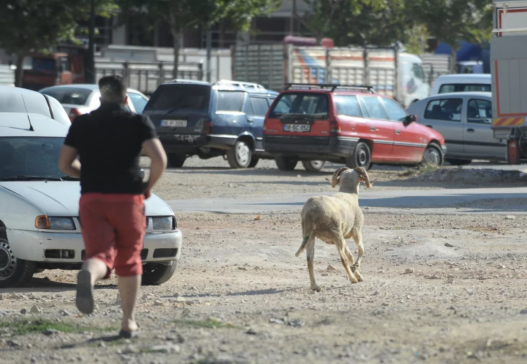 Bursa'da Kurban Bayramı manzaraları